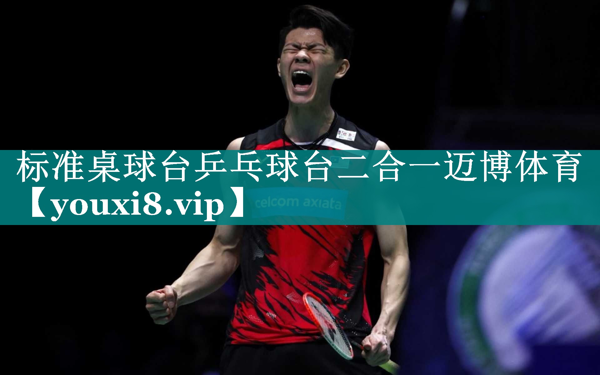 标准桌球台乒乓球台二合一迈博体育