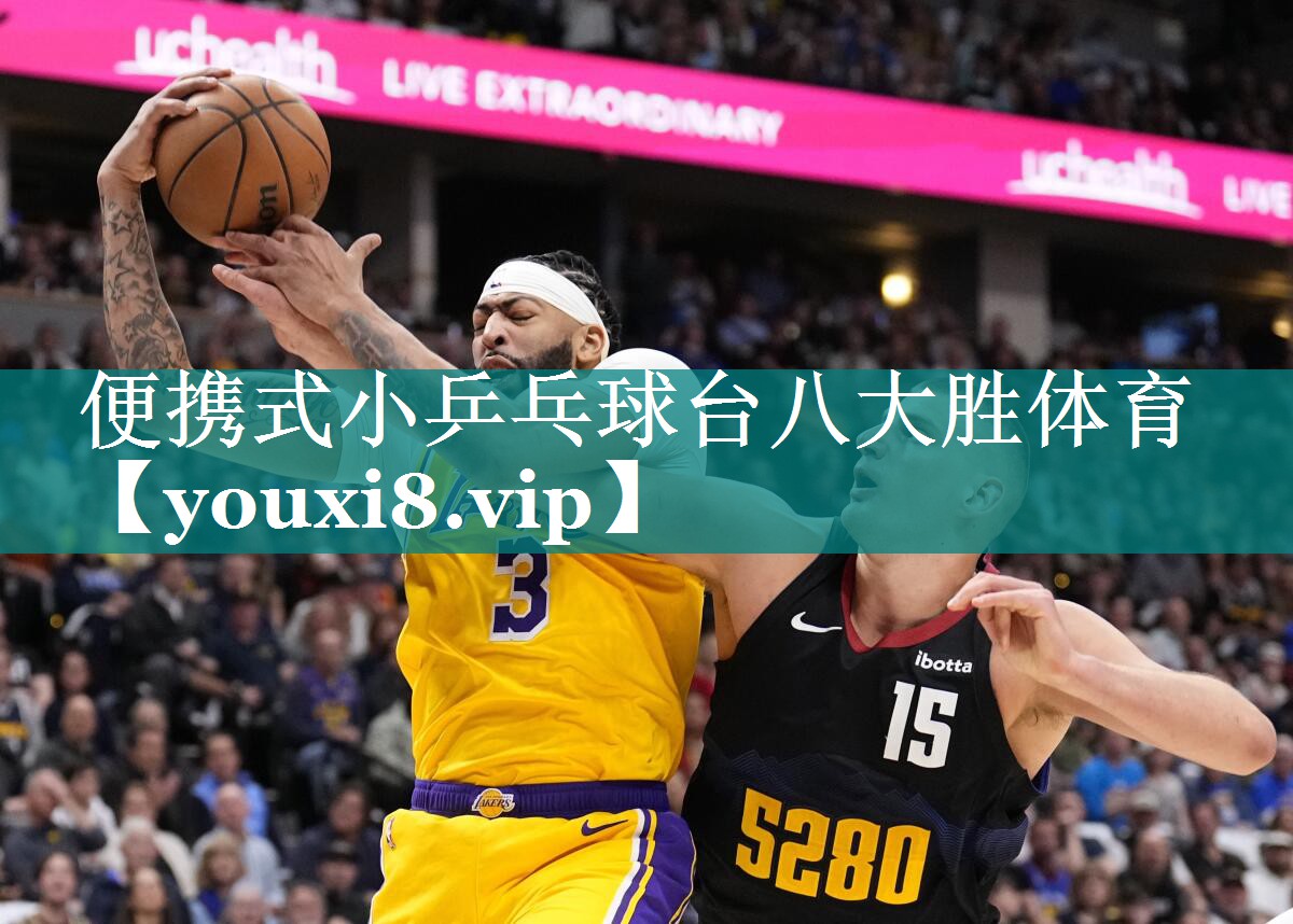 便携式小乒乓球台八大胜体育