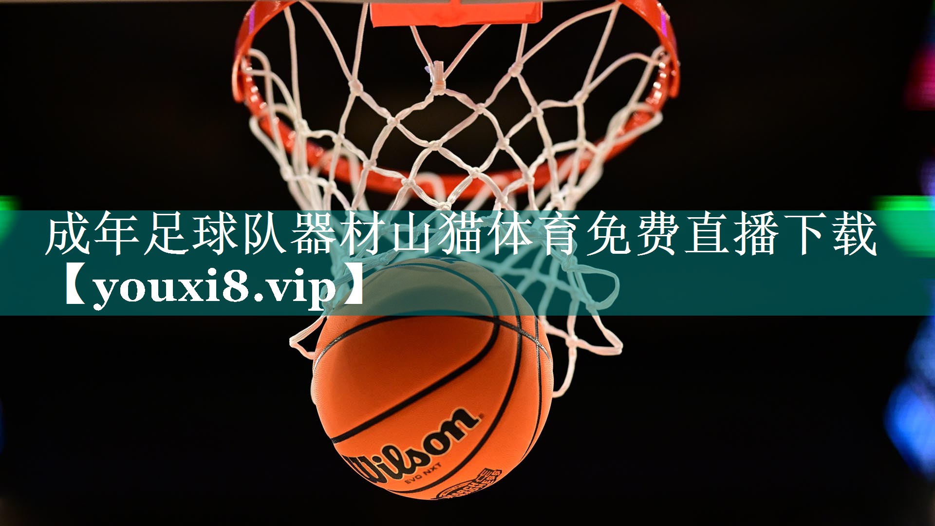 成年足球队器材山猫体育免费直播下载