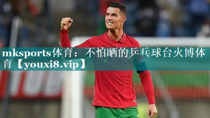 mksports体育：不怕晒的乒乓球台火博体育
