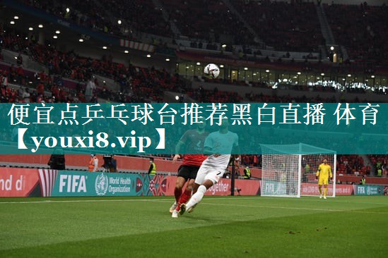 <strong>便宜点乒乓球台推荐黑白直播 体育</strong>