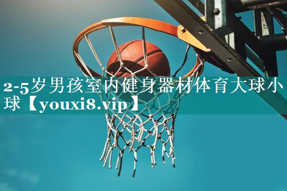 2-5岁男孩室内健身器材体育大球小球