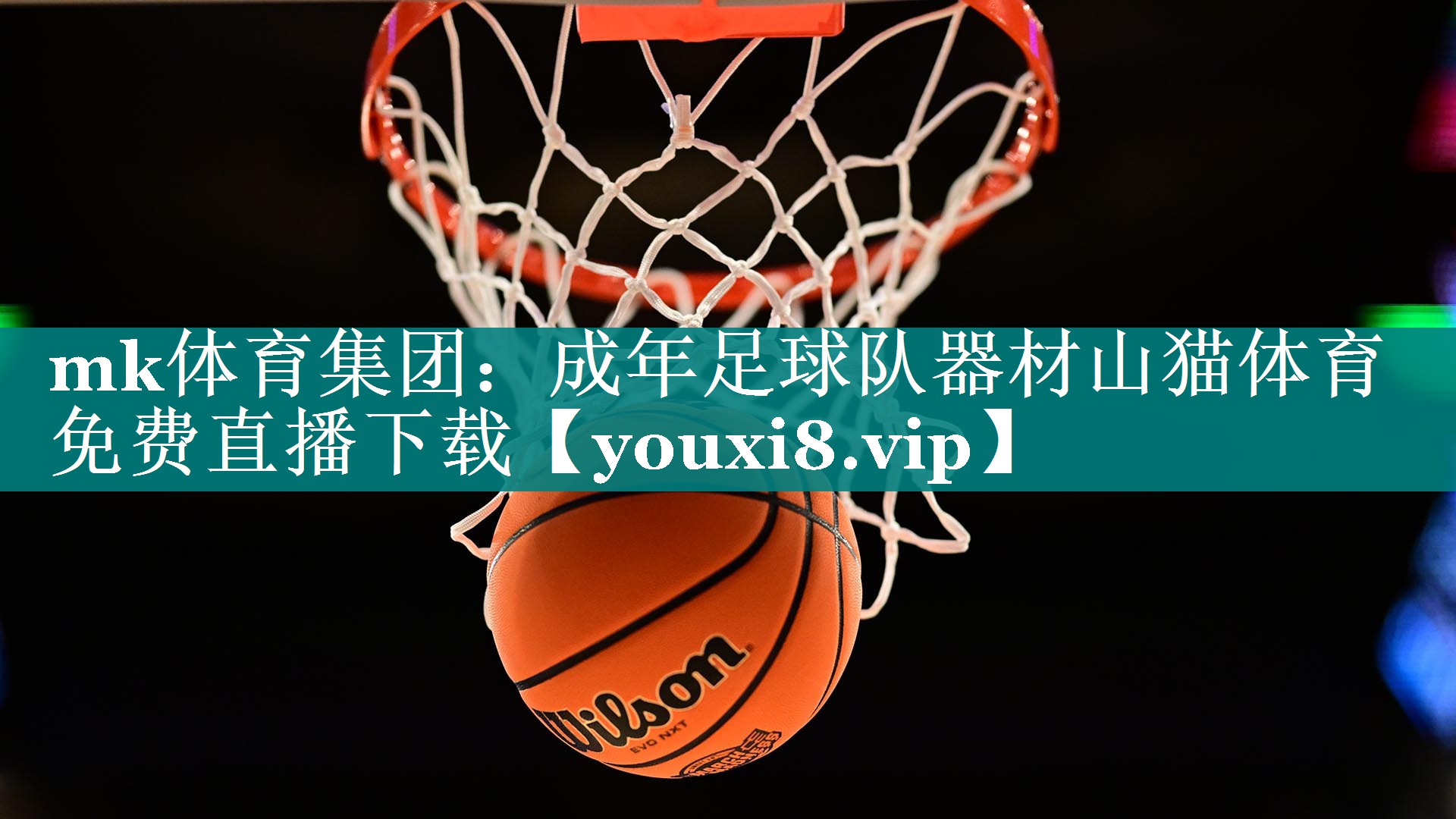 mk体育集团：成年足球队器材山猫体育免费直播下载