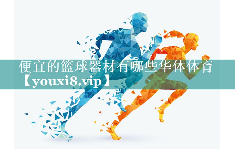 便宜的篮球器材有哪些华体体育