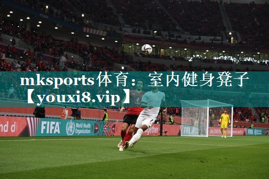mksports体育：室内健身凳子