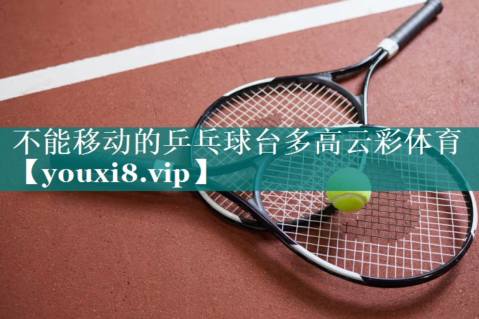 不能移动的乒乓球台多高云彩体育