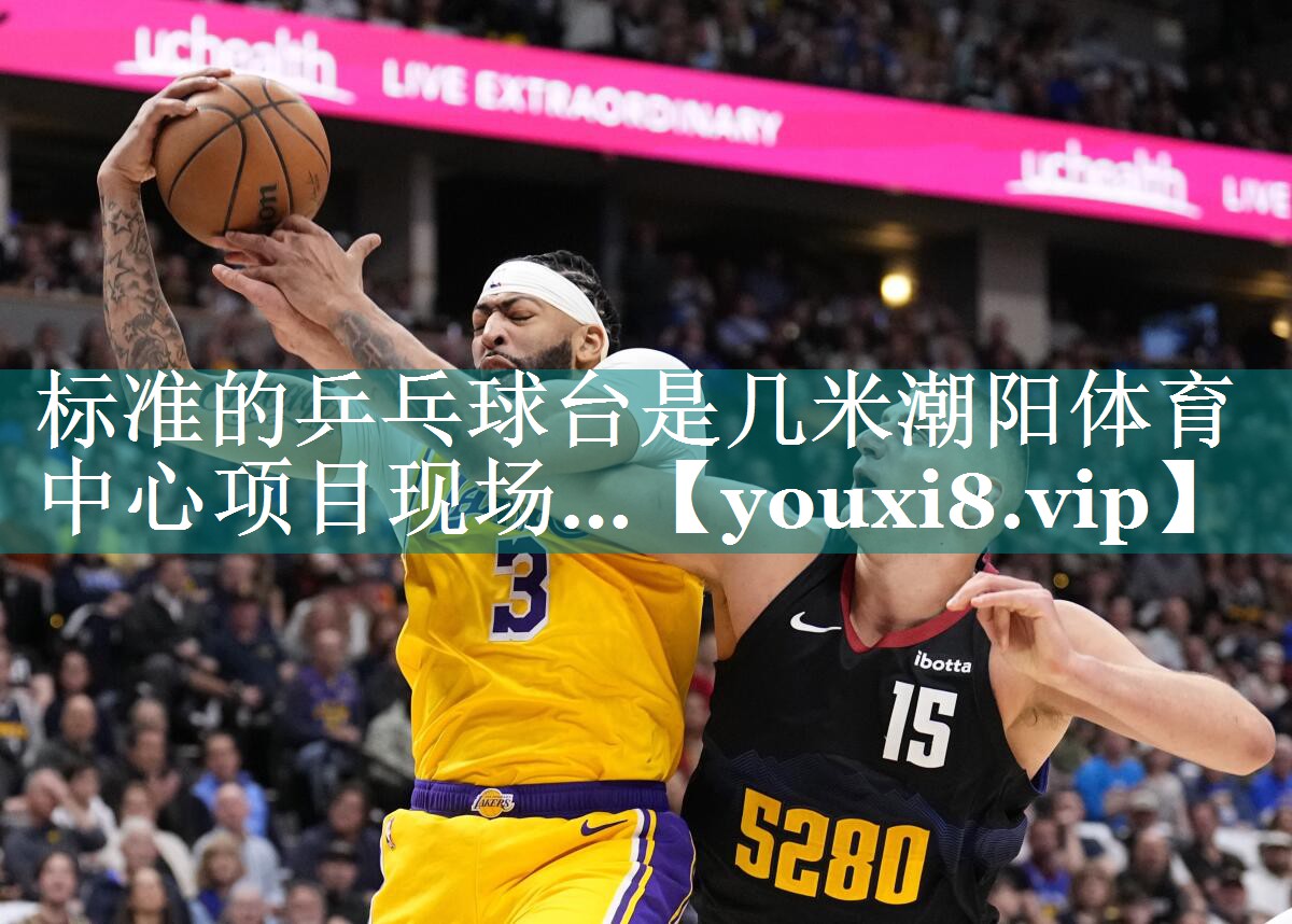 标准的乒乓球台是几米潮阳体育中心项目现场…